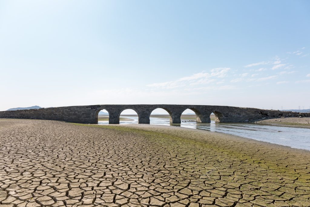 Der Sommer 2022 brachte in ganz Europa Wasserknappheit