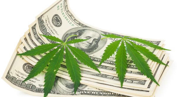 Cannabis-Pflanzen liegen auf Dollar-Scheinen