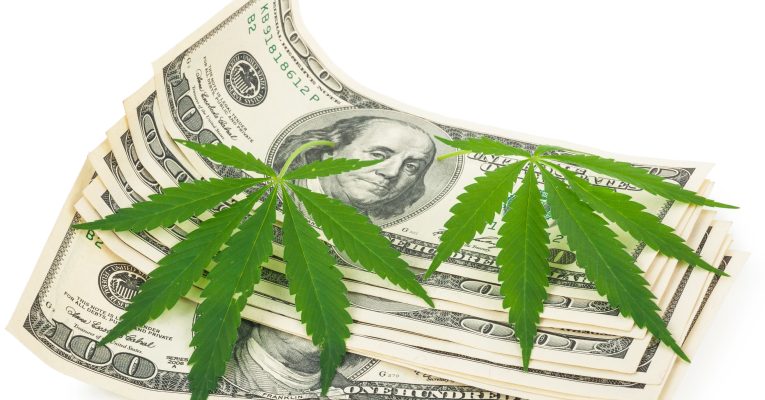 Cannabis-Pflanzen liegen auf Dollar-Scheinen