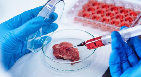 Stück Fleisch wird von einer Person im Labor untersucht