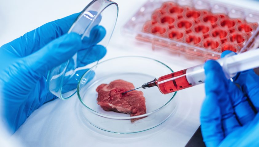 Stück Fleisch wird von einer Person im Labor untersucht